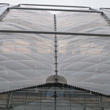 Building Facade Structures